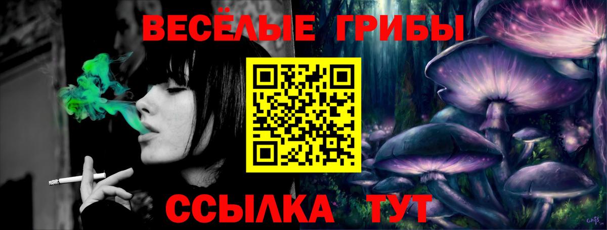 Галлюциногенные грибы GOLDEN TEACHER  Псилоцибиновые грибы прущие грибы  Вход с VPN  Серпухов 